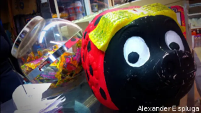 Cochinos navideños en Caracs