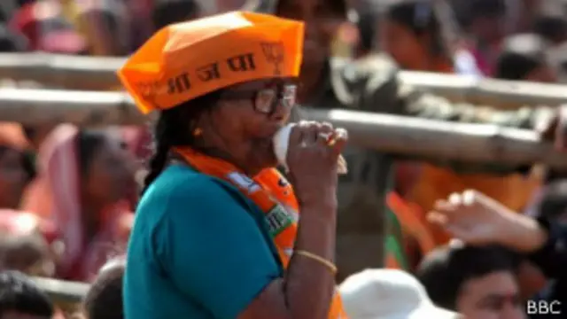 भाजपा समर्थक