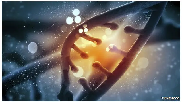 英國計劃項新的基因工程，將有助於揭開一系列重大疾病的發病秘密。