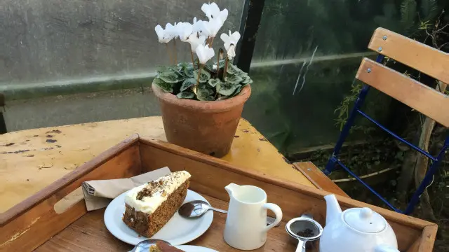 溫室裏自產自銷的茶點。