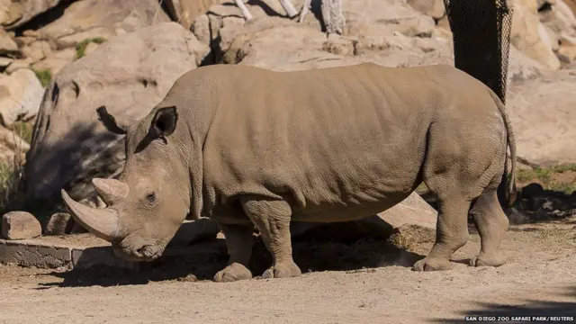 новини про науку 