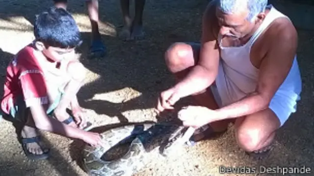 हेमकलसा में एक प्राणी अनाथालय भी है.