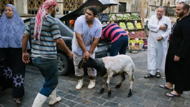 انتقدت فاطمة ناعوت طريقة الذبح الوحشية للأضاحي في مصر 