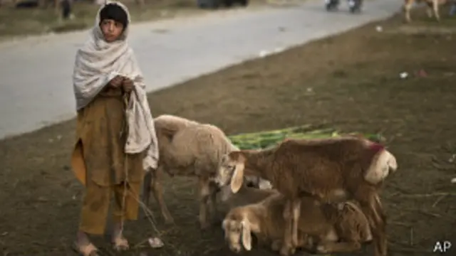 ईद उल अदहा, भेड़ की बलि