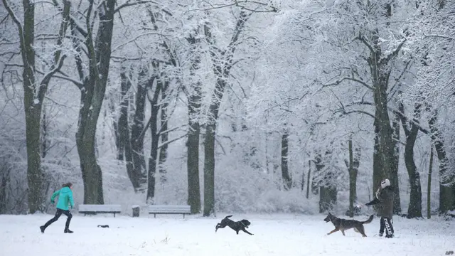 جرمنی کے دارالحکومت برلن میں بھی برفباری میں لوگوں نے لطف اٹھایا۔ درجہ حرارت منفی پانچ ڈگری سینٹی گریڈ تک گر گیا۔ 