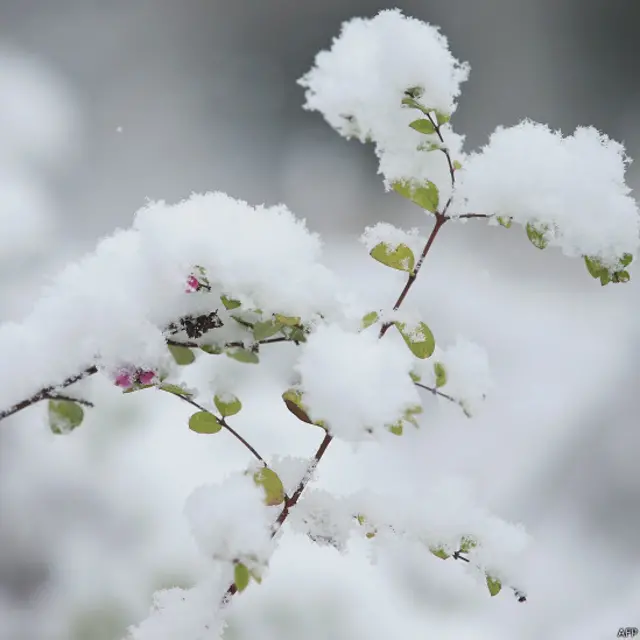 حکام کا کہنا ہے کہ ڈاربی کے علاقے میں 12 مکانات بغیر بجلی کے ہیں۔ 