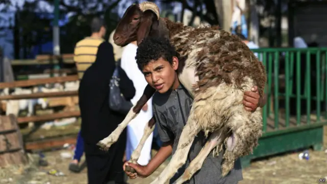 عید قربان در مصر