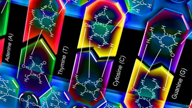 نحوه قرار گرفتن بازهای آلی در مولکول DNA