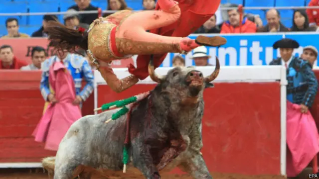 Banteng yang dijuluki Gamusino nyaris menewaskan sang matador perempuan itu.