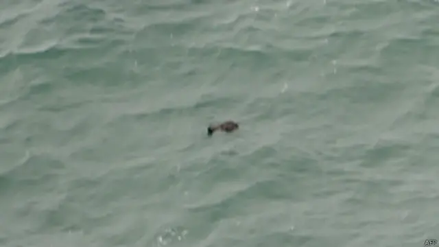 印尼搜救飞机在爪哇海发现的怀疑亚航飞机残骸(30/12/2014)