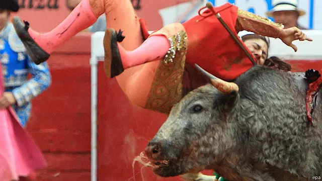 Karla de los Angeles terluka di paha dan pantatnya akibat serudukan banteng dalam acara adu banteng di Meksiko.