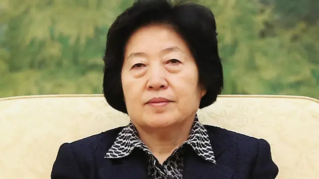 孙春兰(资料图片)