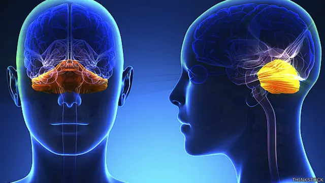 फ़ाइल फोटो