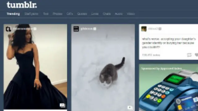 Impresión de pantalla de Tumblr