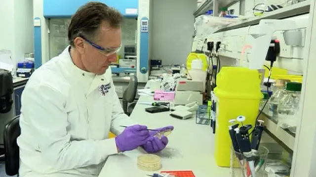 سائنس دانوں نے یہ سمجھنے کی کوشش کی جسم کے بعض خلیوں کو سرطان لاحق ہونے کا خطرہ دوسرے خلیوں کے مقابلے پر لاکھوں گنا زیادہ کیوں ہوتا ہے