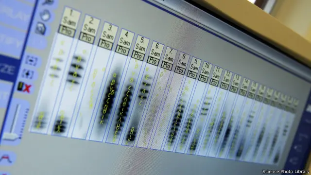 تشدد القواعد الجديدة العقوبة على من يتهرب من الاختبارات.