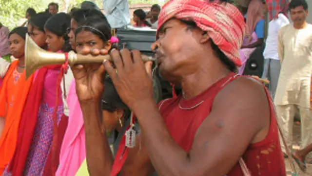 छत्तीसगढ़, जनजाति