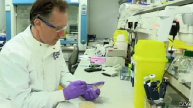 कैंसर कोशिका, कैंसर सेल