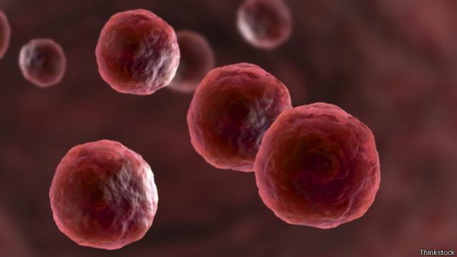 Células humanas (foto: Thinkstock)