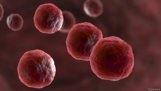 Células humanas (foto: Thinkstock)