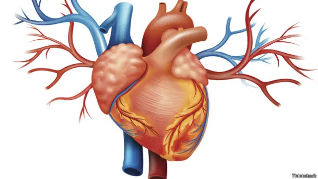 मनुष्य का हृदय