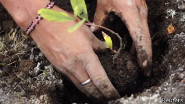 2015 también marca el Año Internacional de los Suelos.