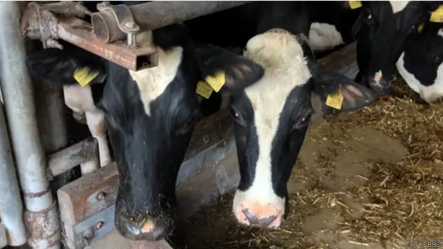 Економіка Литви тісніше пов'язана з Росією, ніж з іншими країними ЄС