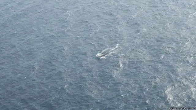 संदिग्ध चरमपंथी नाव