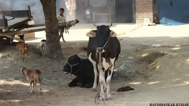 रघुबीर पहलवान का घर