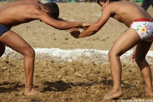 अखाड़ा, पहलवान