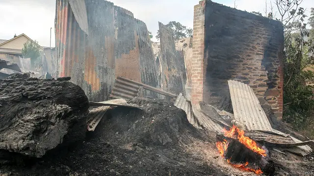 لا زالت النيران تلتهم الغابات رغم جهود المكافحة