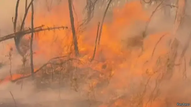 Api melanda lahan seluas 12.500 hektare di Australia Selatan.