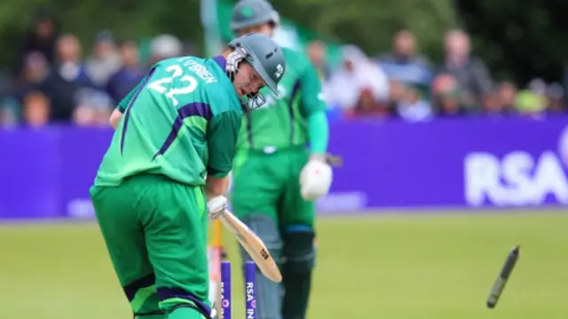 او برائن برادران ٹیم کا اہم ستون تصور کیے جاتے ہیں