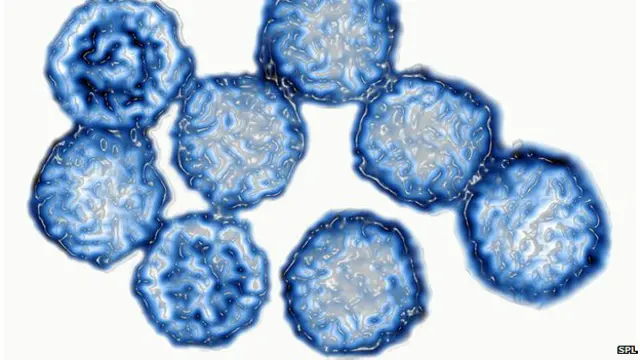 سرد ناک میں مدافعتی نظام کمزور پڑ جاتا ہے جو وائرس کی افزائش کا سبب بنتا ہے