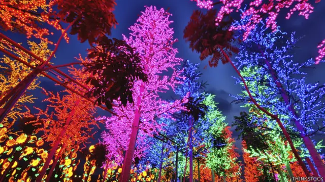 Bosque led