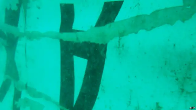 Cola del avión de AirAsia