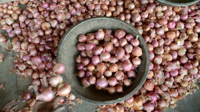 کہا جاتا ہے کہ ایمرجنسی کے بعد جنتا پارٹی کی حکومت پیاز کی بڑھتی ہوئی قیمت پر قابو نہ پا سکی