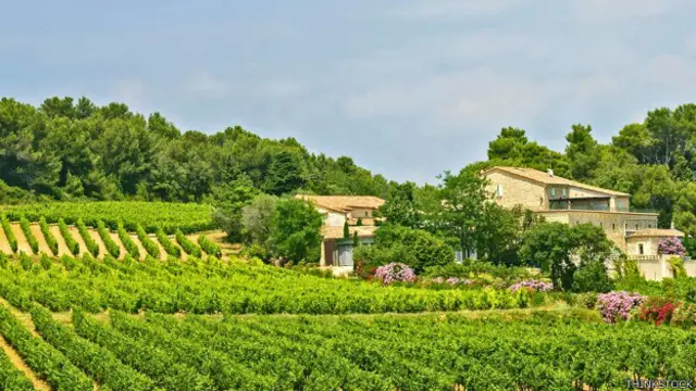 थिंकस्टॉक इमेज