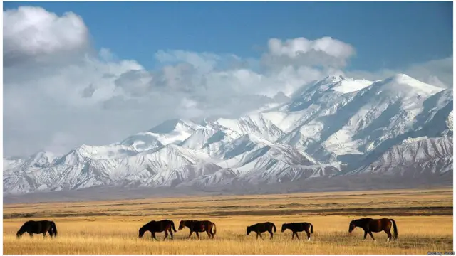 Xa lộ Pamir Highway, hay đường M41, dài 1.252 km từ thị trấn Osh, nam Kyrgyzstan, qua Dãy núi Pamir, còn được gọi là “Nóc nhà Thế giới”, chạy dọc biên giới với Afghanistan cho tới điểm cuối tại Dushanbe, thủ đô Tajikistan. Từng là một phần của Con đường Tơ lụa, Xa lộ Pamir đã được dùng gần 2.000 năm qua. Marco Polo, thương gia nổi tiếng người Venice của Ý, đã đi đường này khi tới Trung Quốc hồi thế kỷ 13. Nhưng không có mấy lữ khách chọn đi ngả này. (Hình Audrey Scott)