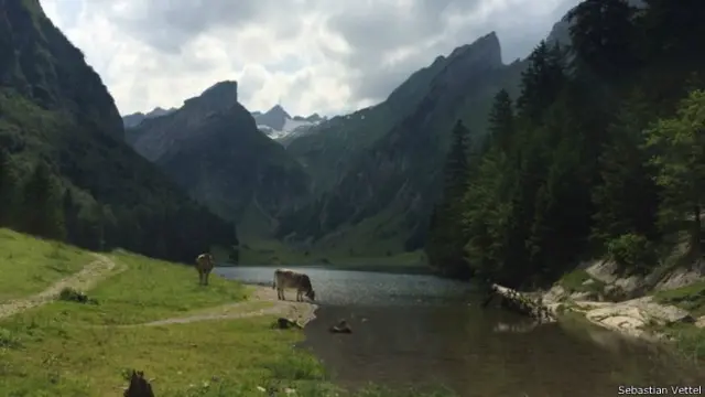 Sebastian Vettel: "Amo las montañas y la pureza de la naturaleza. Para mi es el perfecto entorno para relajarme y recargar, pero también para caminar y entrenar en el aire limpio de las montañas. Tomé esta foto en Los Alpes porque es muy tranquilo".
