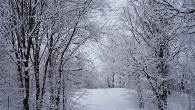 Фото: Сергей