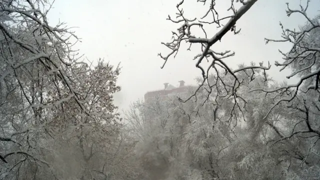 Фото: Игорь Кухарь