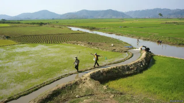 Có ý kiến nói thủy điện làm nông dân mất nước tưới tiêu trong mùa khô.