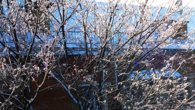 Фото: Максим Грачев