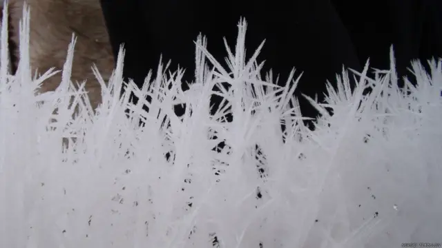 Фото: Сергей Цимбулов