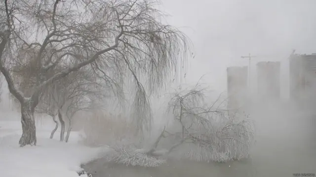 Фото: Юрий Дениско