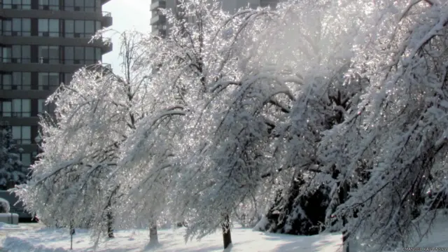 Фото: Эмануиль Каплинский