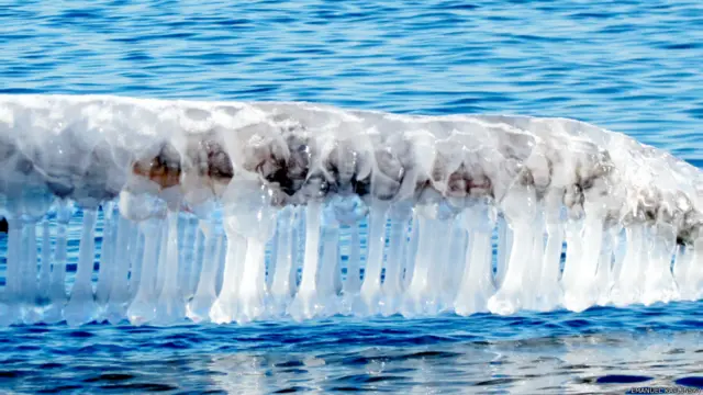 Фото: Эмануиль Каплинский