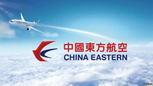 东航云南是由东方航空集团所属东方航空股份有限公司与云南省国资委共同投资设立的航空公司。