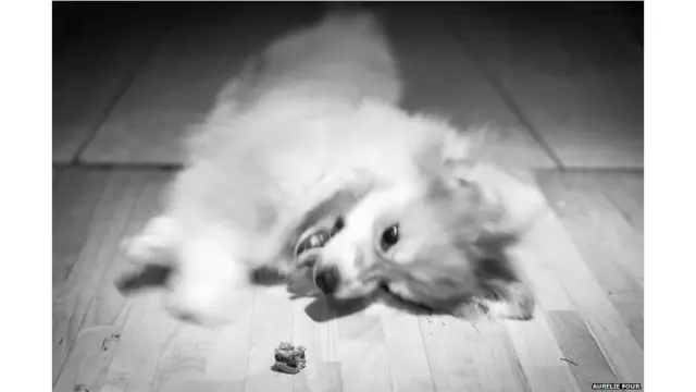 समथिंग न्यू, अर्ली फोर